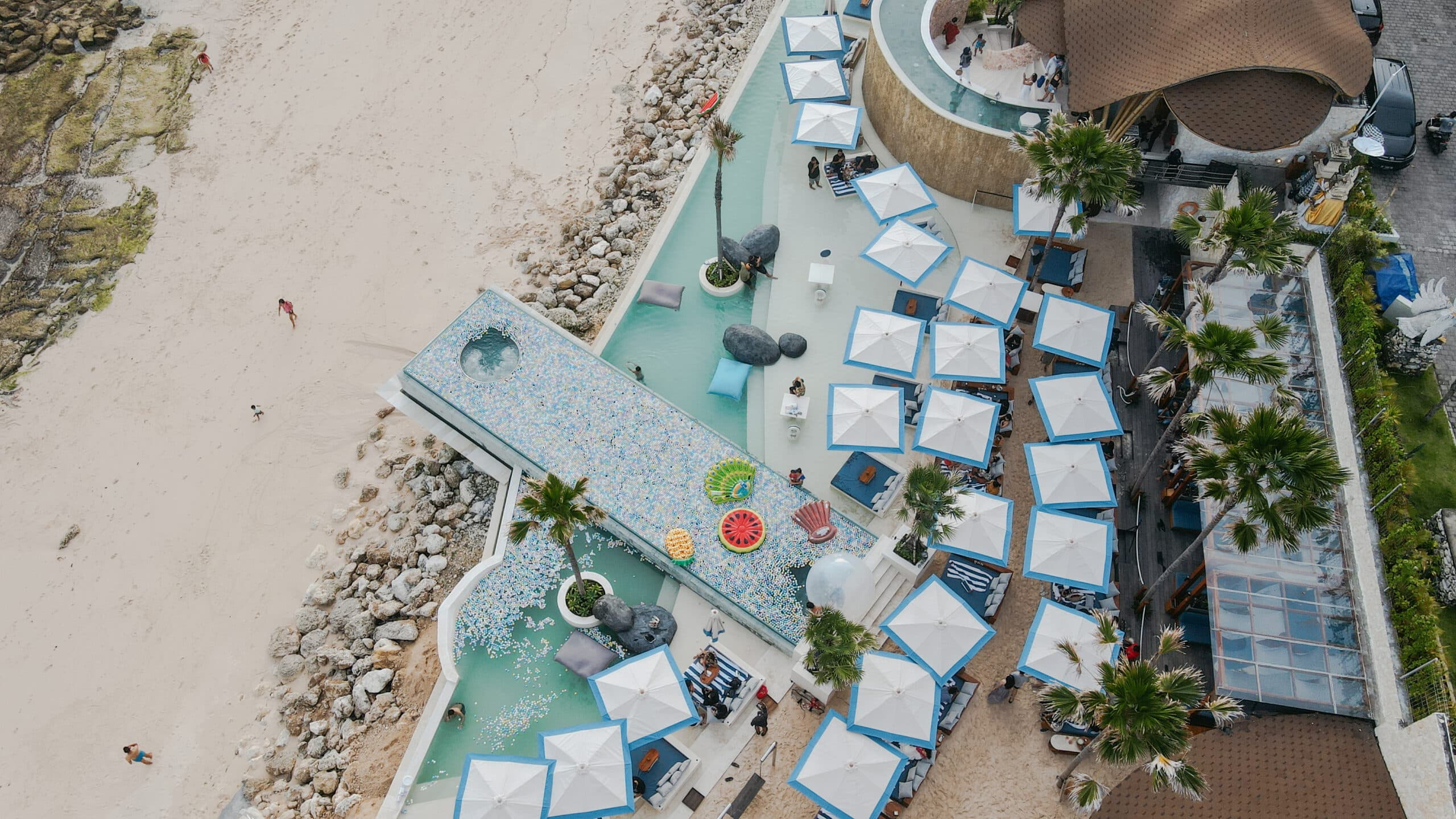 Unleash the Tropical Temptation for Free