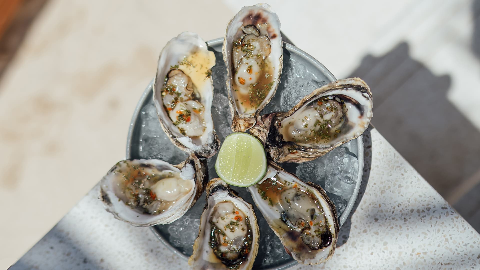 Indulge in the Freshness of Oysters