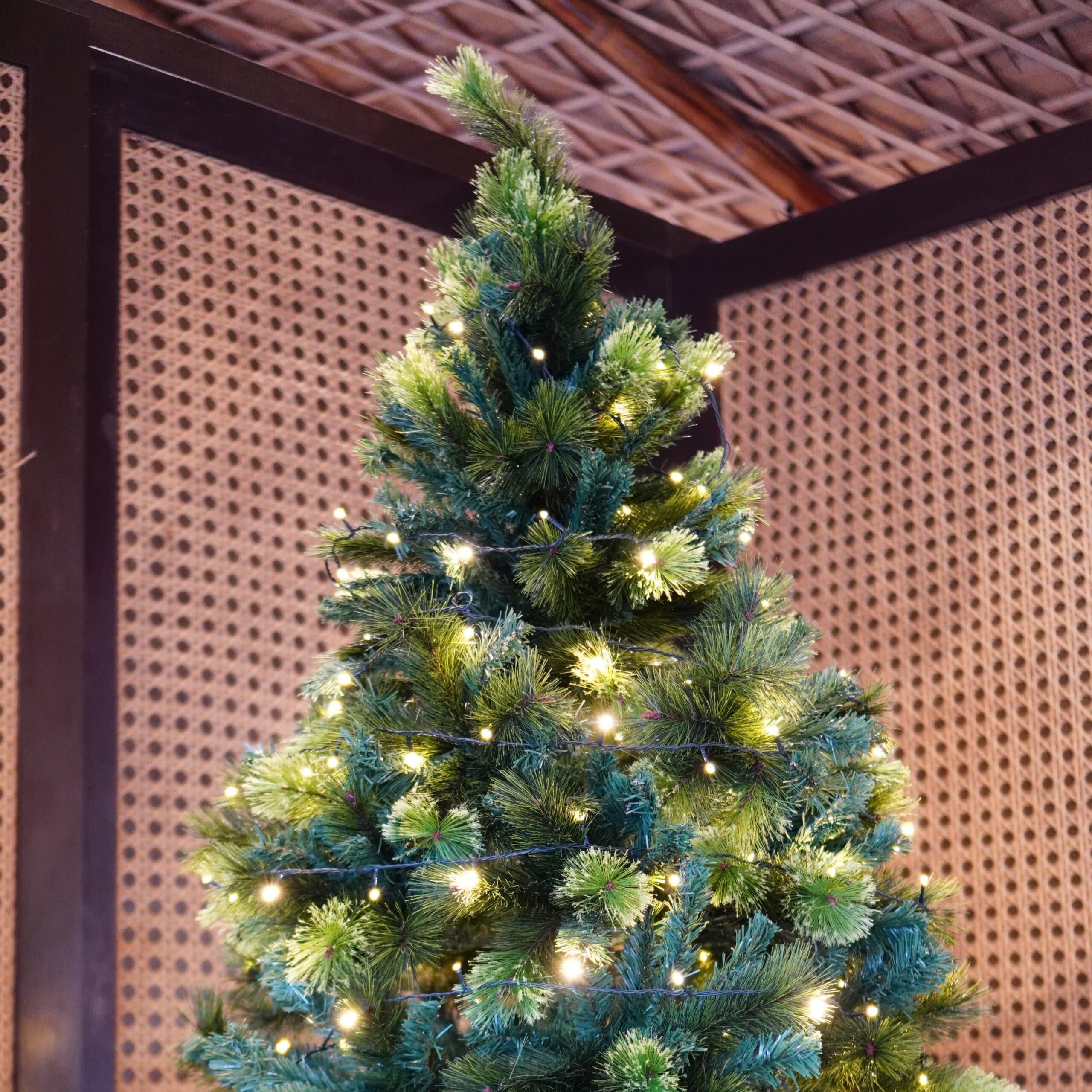 Blessed Monday Merriment: A Tropical Christmas Celebration